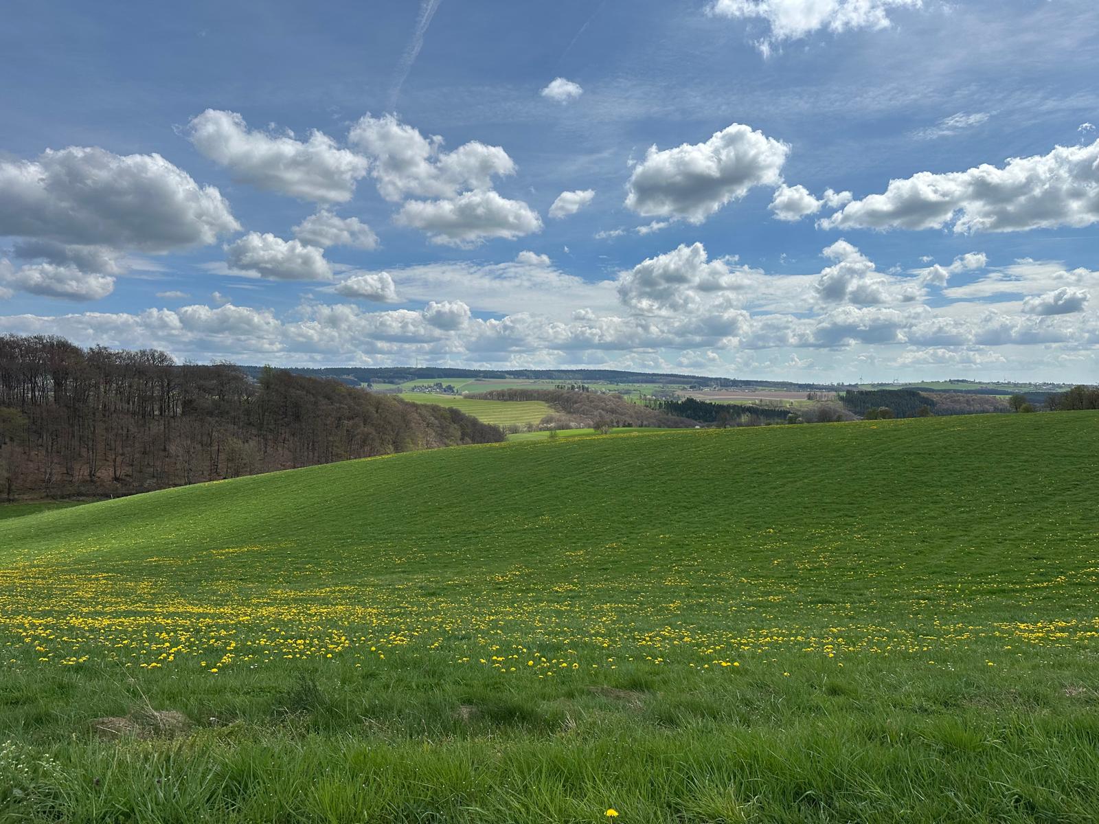 Natur im Hohen Venn, Eifel